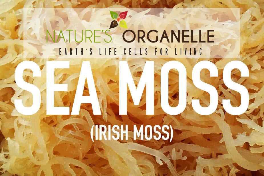 Wild Harvested Sea Moss