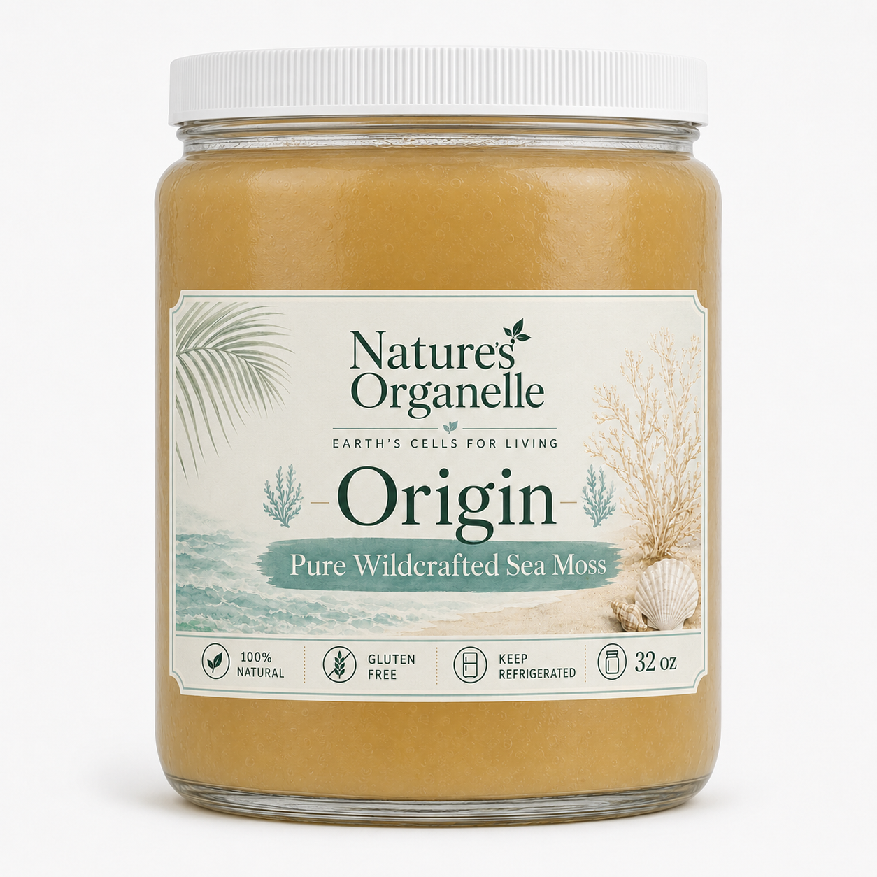 Origin 16oz wide mouth jar mockup