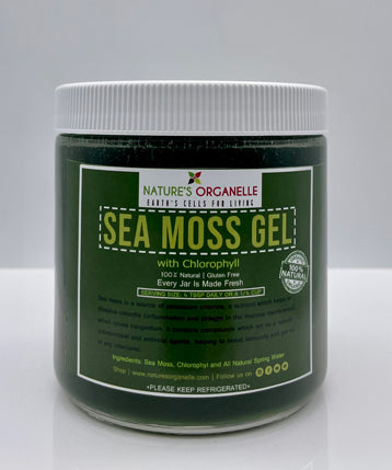 Sea Moss Gel w/Chlorophyll Blend