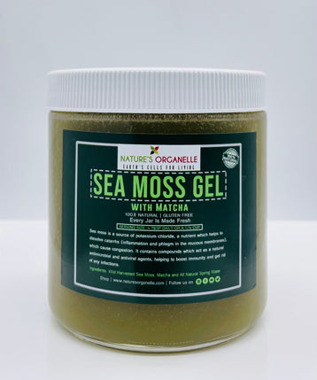 Sea Moss Gel w/ Matcha