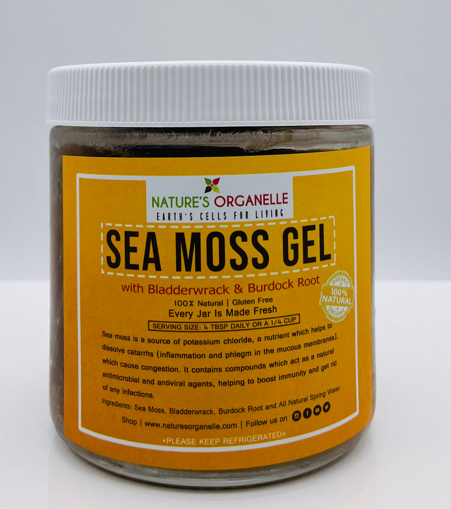 Sea Moss Gel w/Bladderwrack and Burdock Root Blend